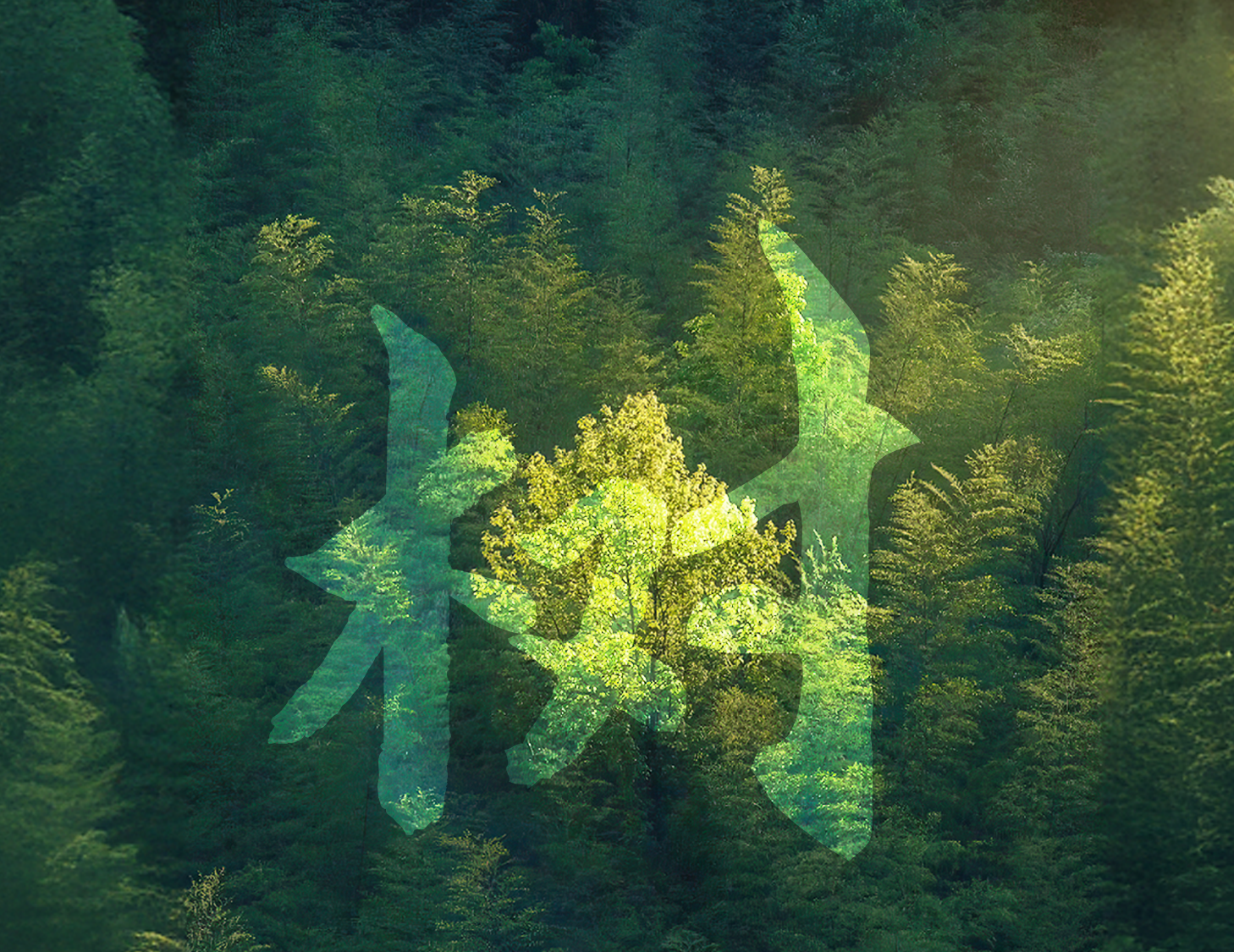 一樹(shù)一世界丨 一院載春秋